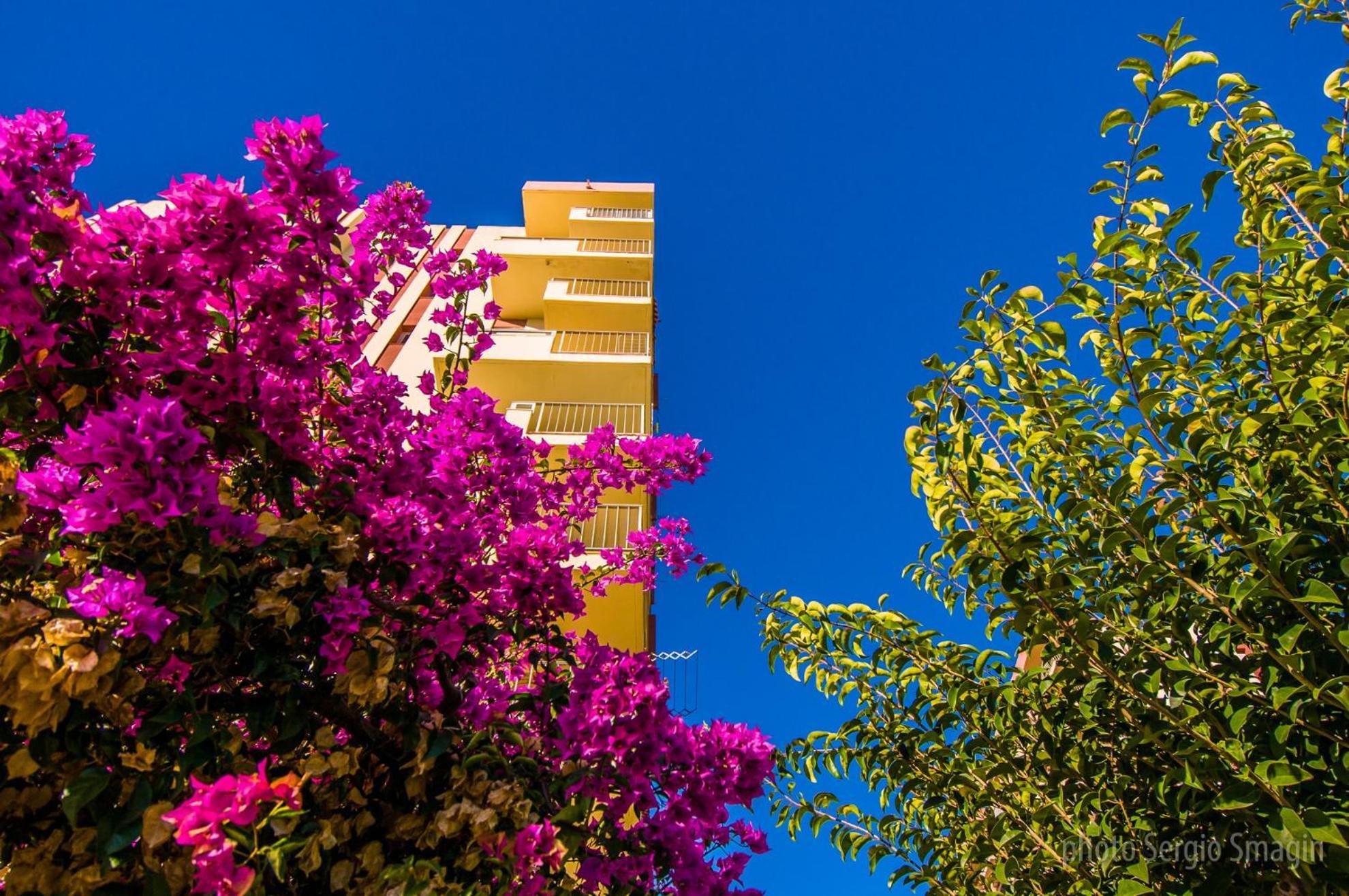426 Estudio En Minerva Apartamentos - Vista Al Jardin - Piscina Y Playa Benalmádena Buitenkant foto