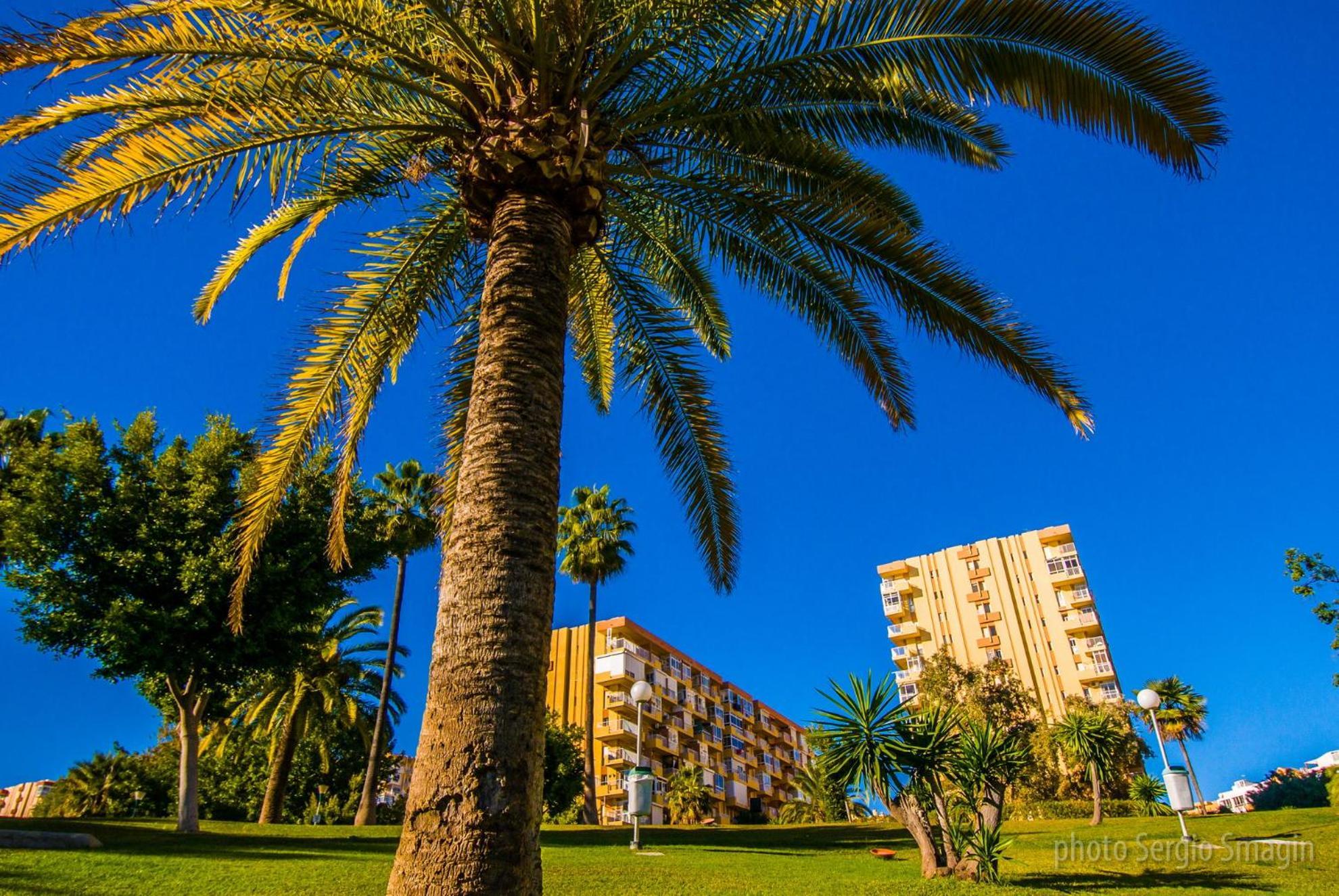 426 Estudio En Minerva Apartamentos - Vista Al Jardin - Piscina Y Playa Benalmádena Buitenkant foto